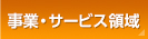 事業・サービス領域