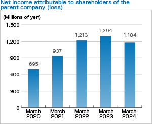 Net Income attributable to shareholders of the parent company (loss)