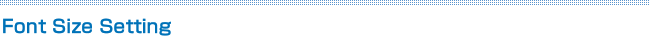 Font Size Setting