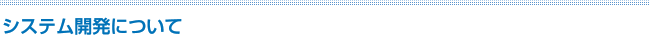 システム開発について