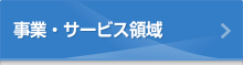 事業・サービス領域