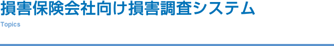 保険分野－損害保険会社向け損害調査システム