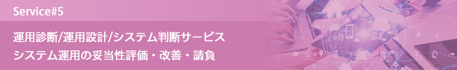 運用診断/運用設計/システム運用サービス